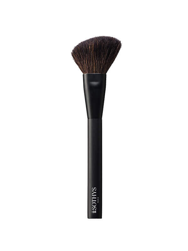 Make Up Brushes