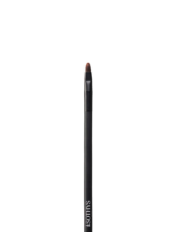 Make Up Brushes