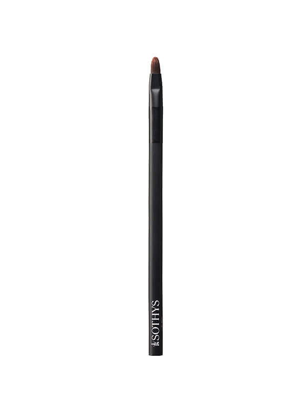 Make Up Brushes