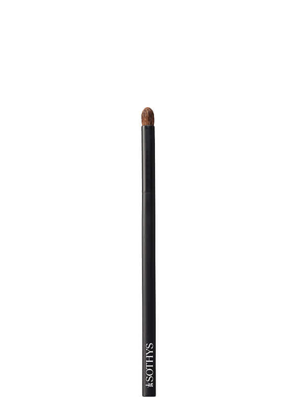 Make Up Brushes