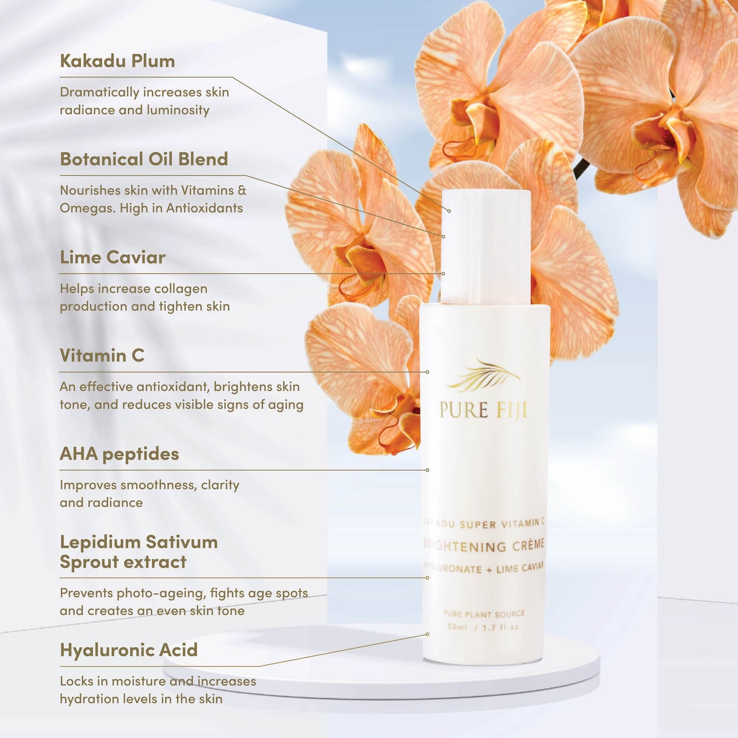 Vitamin C Brightening Creme with Hyaluronic & Lime Caviar (1.7oz/50ml)