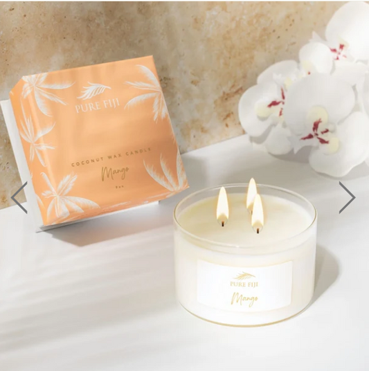 Palm Collection Candle - Mango