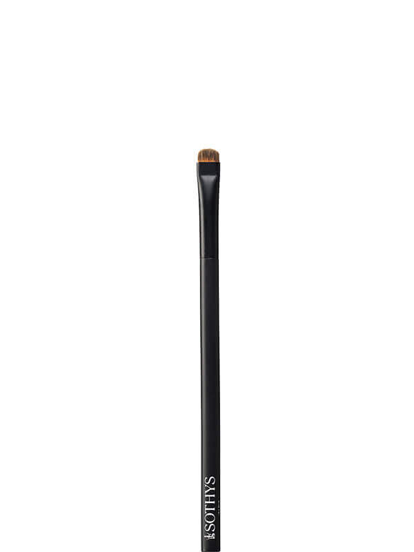 Make Up Brushes